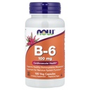 今食糧B-6 100mg 100のカプセル