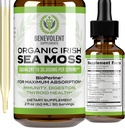 Benevolent Nourishment Organic Irish Sea Moss Drops 2oz - Burdock Root, Bladderwrack & BioPerine [Ultra Strength] 30,000mg Sea Moss Liquid Drops for Immune Support, Thyroid, Gut, Skin & Joint Health