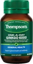 トンプソンの1日Ginkgo 6000mg 60のカプセル