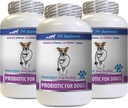 犬のDiarrheaの救助 - 犬のためのPROBIOTICS - 健康な腸 - ガスDiarrheaおよび悪い呼吸を止めて下さい - 消化管のブースト - 犬のプロバイオティクスおよび消化酵素 - 3本のびん(180の御馳走)