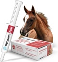 Jaguar動物の健康 Foal - 適切な水和と腸の健康のサポートのためのEquineの補足のり - 予備雑草の葉植物ベースの製品(30 mL)