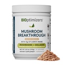 BIOptimizersキノココーヒー代替 - 塩漬けキャラメルドリンク - ライオンのマネ、チャガ、Reishi + 焦点、エネルギーと腸の健康のためのコラーゲンペプチド - 適応性キノコとMCTパウダー - 30のサービング