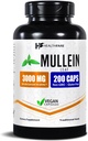 Healthfare Mullein リーフエキス 3000mg | 200 ビーガンカプセル | 余分な強さの草の補足 | サポートウェルネス & バランス | 非GMO、グルテンフリー | アメリカ製