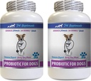 犬消化プロバイオティクスの復元 - 犬のためのPROBIOTICS - 健康なガット - ガスDiarrheaと悪い呼吸を停止 - 消化ブースト - 犬のための酸性凍結 - 2ボトル(120のお菓子)