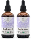 Bugleweed USDA オーガニック アルコールフリー エキス | 栄養補助食品、高周波焼入れ剤、呼吸器系 | 天然認証オーガニック バグリーク(Ze LAN、リコパス ヴァーニカルス) 乾燥ハーブ 2x4 oz