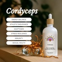 Rainbo - Cordycepsのきのこのチンキ - 二重エキスのきのこの補足 - 免疫サポート、エネルギー、液体のコルディプスの補足、ビーガン、非GMO、3.4のflのoz