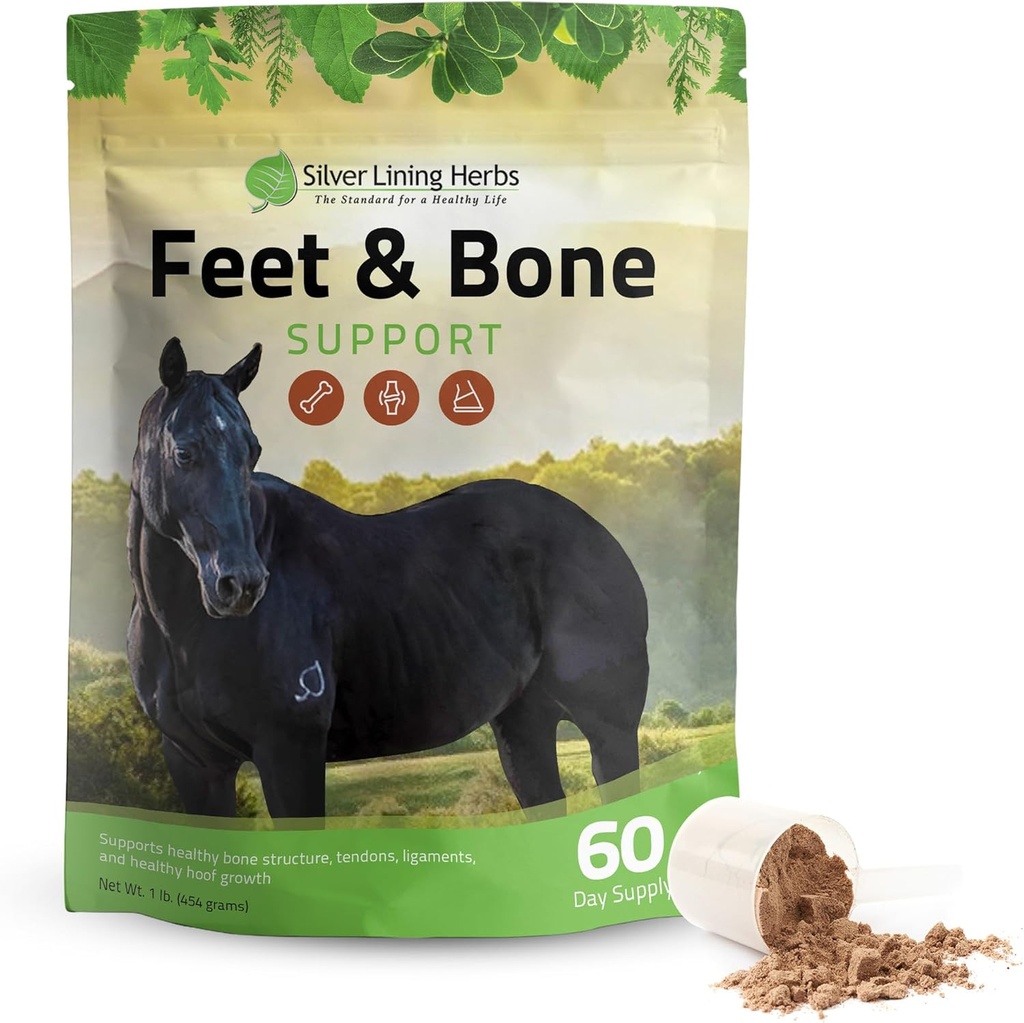 Silver Lining Herbs Feet & Bone Support Horse Supplement Powder Natural Tendons, Ligaments & Surrounding Tissues & Hoof Supplement for Horses - Normal Limbs Circulation Horse Care Supplies - 1 LB