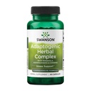 Swanson Rhodiola AshwagandhaのGinsengの複雑なエネルギー 免疫機能神経系ストレス サポート適応性のハーブの補足60のカプセル