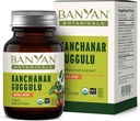 Banyan Botanicals Kanchanar Gugguluタブレット – Guggulu樹脂と有機リンパサプリメント – 自然な毒素の健康的な排除を促進します* – 90 錠 – 非GMO持続的に供給ビーガン