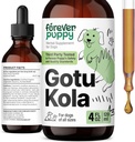 犬のための永遠にパピーGotu Kolaドロップ - 脳の健康サポートのためのGotu Kolaエキス&Centella Asiatica - すべての品種とサイズの犬のための栄養脳サプリメント - 4 oz