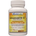 ワンダーラボラトリーズサブリンガルビタミンB12(1000mcg)、B6(5mg)、葉酸(400mcg)、バイオチン(25mcg) - メチルコバラミンビタミンB-12(250錠)で配合
