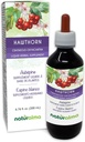 ナチュラルマ・ホーソーン(Crataegus oxyacantha) 葉と花のアルコールフリーのチンキ - 6.76 fl oz 液体抽出物をドロップ - ハーブサプリメント - ビーガン