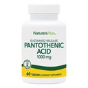 NaturesPlusパントテン酸、サステンドリリース - 1000mg、60錠 - 高周波ビタミンB5サプリメント - ベジタリアン、グルテンフリー - 60のサービング