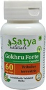 ゴフル フォルテ カプセル 500 mg. 60 野菜. カプセル | ゴカル (Tribulus Terrestris) エキス カプセル 男性と女性 | アーユルヴェーダ ハーブ サプリメント/救済 | 10:1 フォルテ (1 ボトル 60 カプセル)