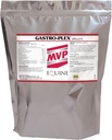 Gastro-Plex (12 lb) Supports Gut Health and Hindgut Digestion in Horses