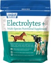 Sav-a-Caf Electrolytes PlusTM サプリメント | 6 ポンド(6 LB) バッグ
