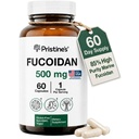 PRISTINEのFicoidan 500MGの免除の補足のカプセル - 60の日の供給-ブラウンの海藻のエキス-有効な草の酸化防止肺の健康及び皮の健康サポート