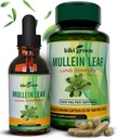 キキグリーンムレインカプセル&液体ドロップバンドル - Mulleinリーフエキスサプリメント、90カプセル+ 2 fl oz - 呼吸&免疫サポート、より良い肺機能、肺クレンジング&リリーフ