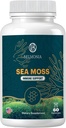 海苔のグミ - 免疫力 & 皮膚の健康, オーガニックアイリッシュモスグミベア, 60 カウント, ビーガン, 耐久性と健康のためのスーパーフード咀嚼サプリメント
