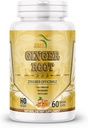 有機ジンジャールートパウダー(Zingiber officinale)消化器サポート - 60ベジギーカプセル