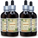 コルディセプ(コルディプスSinensis)チンキ、有機乾燥マッシュパウダー液体エキス(ブランド名:HerbalTerra、米国製)4x4 fl.oz (4x120 ml)