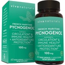 Viva Naturals Pycnogenol - 100mgフランスのマリタイムパインバークエキス - 循環、抗酸化反応、関節と免疫の健康と機能をサポート - 60ベジギーカプセル
