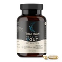 TERRA ORIGINヘルシーガットリセットPM | 60ベジーカプセル | 睡眠&ウェイクサイクルの自然な睡眠補助食品 | GABA、L-Tryptophan、Melatonin、L-グルタミン、L-グルタミン、L-グルタミン、L-グルタミン、L-グルタミン、L-グルタミン、L-グルタミン、L-グルタミン、L-グルタミン、L-グルタミン