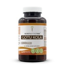 Tribe Gotu Kola 120カプセル、1000mg、Gotu Kola(Centella Asiatica)乾燥ハーブ(120カプセル)の秘密