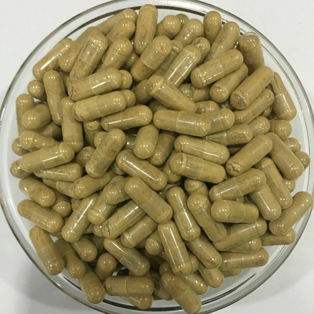 Pure Tiger Milk Mushroom Extract 50:1 Capsules 500mg*200capsules