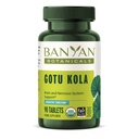 Banyan Botanicals Gotu Kola (Centella Asiatica) – 有機適応性 & 健康な記憶のための向知性脳サポートサプリメント* – 90錠 – 公正に取引された持続可能供給ビーガン