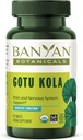 Banyan Botanicals Gotu Kola (Centella Asiatica) – 有機適応性 & 健康な記憶のための向知性脳サポートサプリメント* – 90錠 – 公正に取引された持続可能供給ビーガン