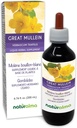 ナチュラルマ偉大なムレインまたは一般的なムレイン (Verbascum thapsus) 花と葉のアルコールフリーチン - 6.76 fl oz 液体抽出物をドロップ - ハーブサプリメント - ビーガン