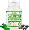 カウンチMUCUNA PRURIENS Konch Beej、Kaunch Beej Extract Capsules | Highest Potency、100% Herbal Product | 60 X 500mgのパック。 野菜。 カプセル(1瓶パック)