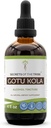 Tribe Gotu Kola Tinctureアルコール液エキス、Gotu Kola(Centella Asiatica)乾燥ハーブの秘密(4 FL OZ)