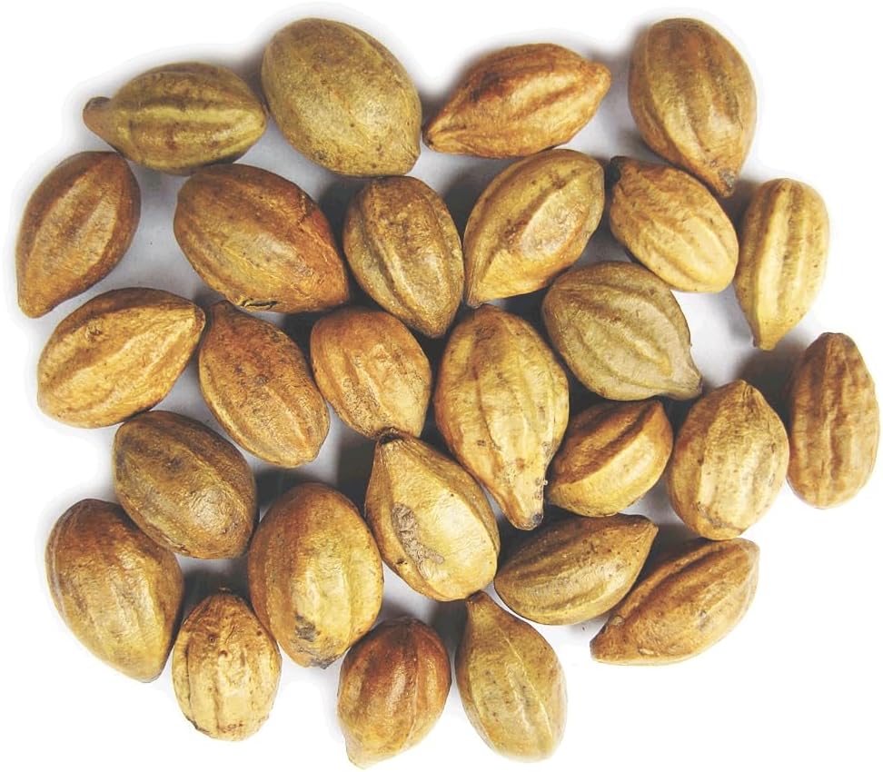 ナチュラルズ ターミナルリア チェブラ | かどく会| 原田 | インクナット | はりがきインド オリジンハーブ (200g(7oz))