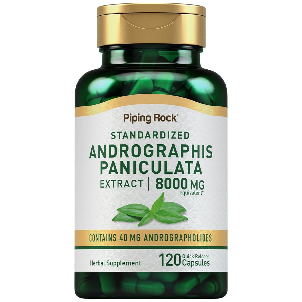パイピングロックアンドロポグラフィ・パニキュラタエキス | 8000 mg | 120カプセル | 標準化ハーブサプリメント | 非GMO、グルテンフリー