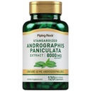 パイピングロックアンドロポグラフィ・パニキュラタエキス | 8000 mg | 120カプセル | 標準化ハーブサプリメント | 非GMO、グルテンフリー