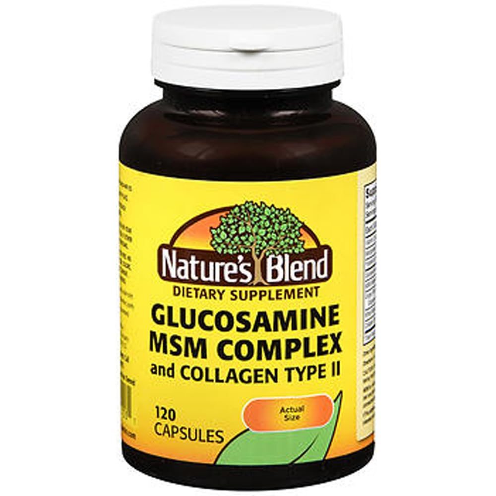 自然のブレンドGLUCOSAM/MSM CMPLX TB 120、079854011531