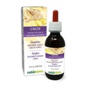 ナチュラルマジンジャー(Zingiber officinalis) Rhizomeアルコールフリーのチンキ - 4 fl oz 液体エキス - ハーブサプリメント - ビーガン