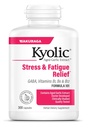 Kyolicはニンニクのエキスの方式101、圧力および疲労救助、300のカプセルを老化させました。