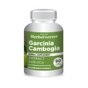 Herbsforever Garcinia Cambogia Extract Supplement | ヘルシーなライフスタイルと重量管理をサポート | ナチュラルハーブフォーミュラ | 大人の90のベジタリアンカプセル