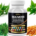 海苔3000mgの黒の種のオイル2000mgのAshwagandha 1000mgのBradderwrack 1000mgのTurmeric 1000mgのBurdock 1000mgのビタミンC及びD3のElderberryのManukaのDandelionの黄色いドックのChlorophyll ACV