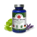 Ginkgo Biloba, メモリ, フォーカス & 脳機能サポート, 酸化防止リッチ, プラントベース, GMP, ハーブ向知性ベジタリアンカプセル, 120 カウント (パッケージ 1)