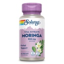 SOLARAYモリンガカプセル900mg - 135mgサポニンとモリンガサプリメント - ハーブサポートw /自然にビタミン、ミネラル、アミノ酸、ビーガン、60日保証、30サーブ、60ベジキャップを占有