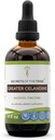 Tribe Greater Celandine Tinctureアルコールエキス、 Greater Celandine(Chelidonium majus)の秘密 4 OZ