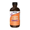 NOWの補足、CoQ10の液体、Co-enzyme Bのビタミンが付いているティースプーンごとの100のmg、Xylitolと甘くされる、4-Ounce