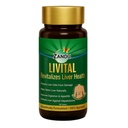 Zandu Livital錠、100%アーユルヴェーダ成分、さまざまなHepatotoxinsに対する肝臓を保護します|脂肪肝に有益な|肝デトックスの消化と食欲を改善