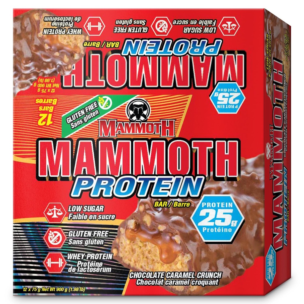 MAMMOTHの蛋白質棒、チョコレートピーナツのバター ランチ、25g蛋白質、低い砂糖、低炭水化物、グルテンフリー、12 x 65g (12 ) (チョコレートピーナツのバター ランチ) (12 カウント、チョコレートキャラメル ランチ)