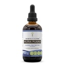 Tribe Muira Puama Tinctureアルコールフリー液体エキス、Muira Puama(Ptychopetalum Olacoides)ドライバーク(FL OZ)の秘密