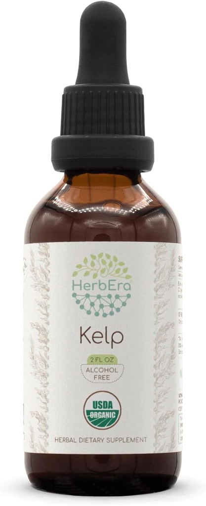 HerbEra Kelp B60 USDA Organic Tincture | アルコールフリーエキス、高確率ハーブドロップ | 認定有機ケルプ(アスコフィラムノドム)乾燥工場(2oz)
